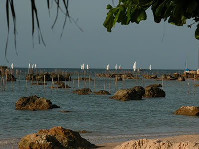 Regata de abertura do Brascat 2010 Regata de abertura do Brascat 2010