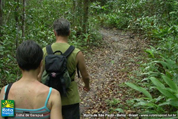 Trilha para Garapua Trilha para Garapua