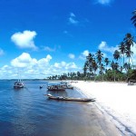 567614-2723-in 567614-2723-in