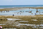 Piscinas naturais na quarta praia - Morro de Sao Paulo